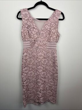 Enfocus Studio Blush Lace V-Neck Midi Dress
